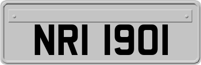 NRI1901