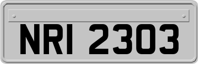 NRI2303