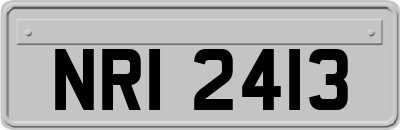 NRI2413
