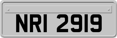 NRI2919