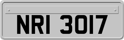 NRI3017