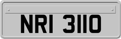 NRI3110