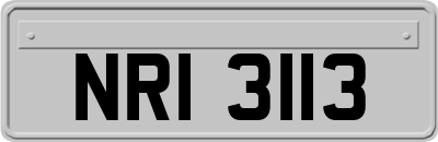 NRI3113
