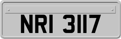 NRI3117