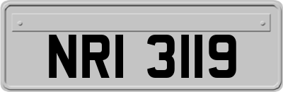 NRI3119