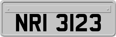 NRI3123