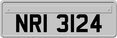 NRI3124