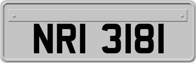 NRI3181