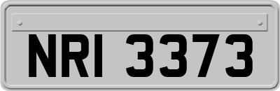 NRI3373