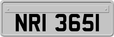 NRI3651