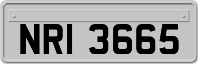 NRI3665