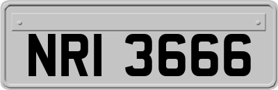 NRI3666