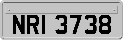NRI3738