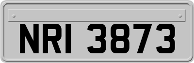 NRI3873