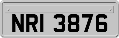 NRI3876