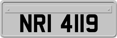 NRI4119