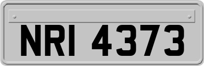 NRI4373
