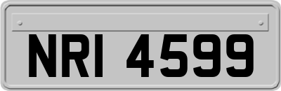 NRI4599