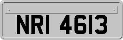 NRI4613
