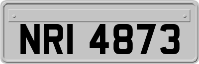 NRI4873