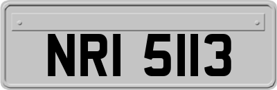 NRI5113