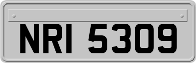 NRI5309