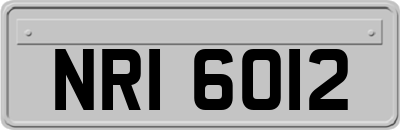 NRI6012