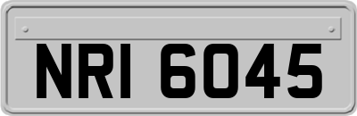 NRI6045