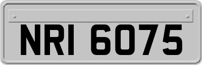 NRI6075
