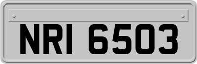 NRI6503