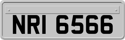 NRI6566