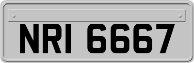 NRI6667