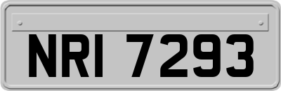NRI7293