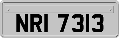 NRI7313