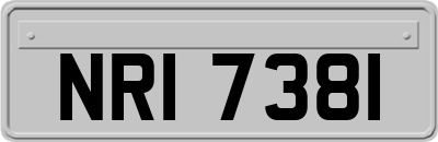 NRI7381