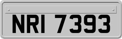 NRI7393