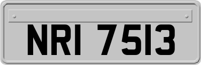 NRI7513