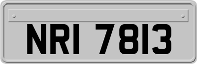 NRI7813