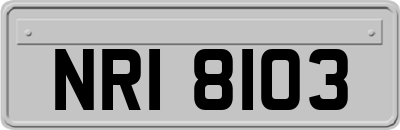 NRI8103