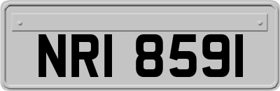 NRI8591