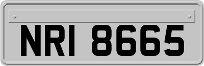 NRI8665