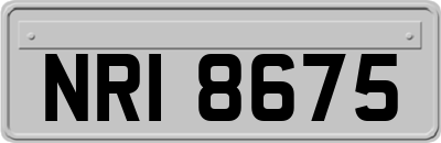 NRI8675