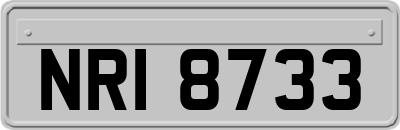 NRI8733