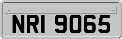 NRI9065