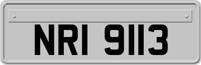NRI9113