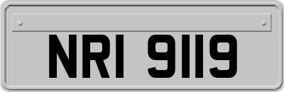 NRI9119