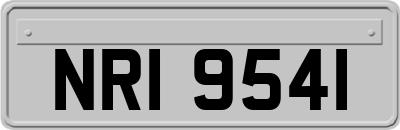 NRI9541