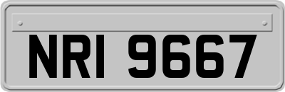 NRI9667