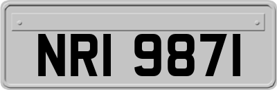 NRI9871