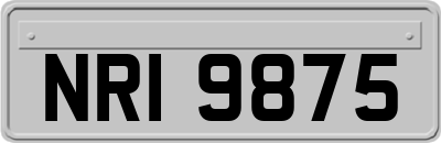 NRI9875